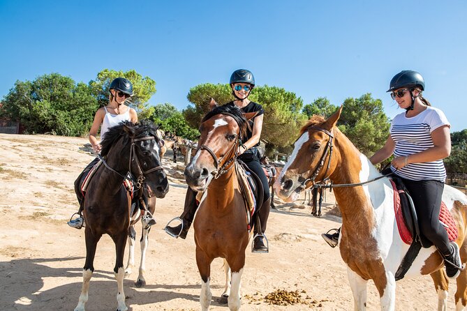 Mallorca Evening Tour: Horseback Riding, Dinner and Dance - Itinerary Details