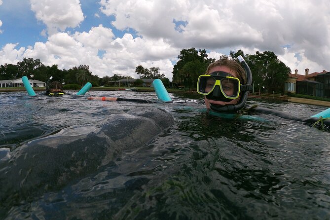 Manatee Snorkeling Crystal River Florida Semi-Private - Cancellation Policy
