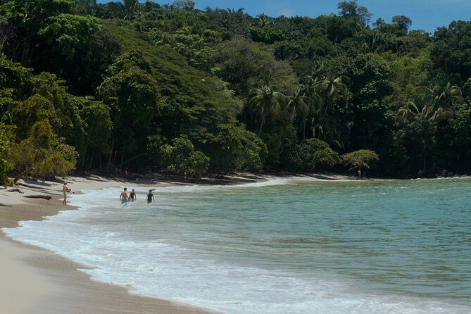 Manuel Antonio National Park Tour - Biodiversity Learning