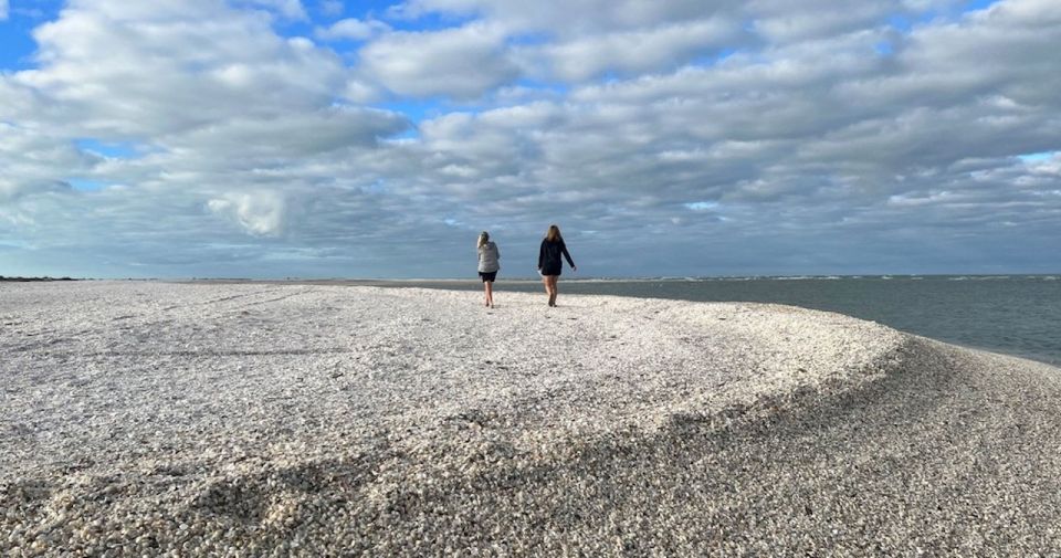 Marco Island: Barrier Island Shelling and Mangrove Tour - Experience Highlights and Destinations