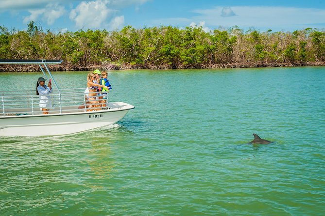 Marco Island Dolphin Sightseeing Tour - Traveler Experience