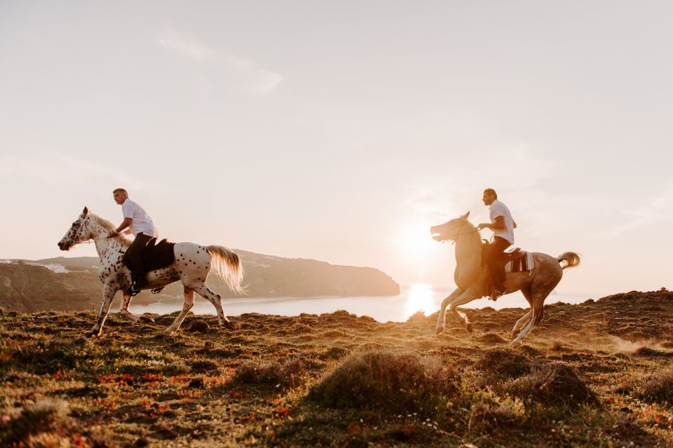 Megalochori: Horseback Riding Tour for Experienced Riders - Pricing and Duration