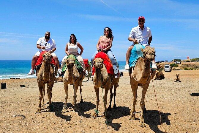 Morocco:Tangier Private Tour From Malaga Province or Tarifa - Pickup Points