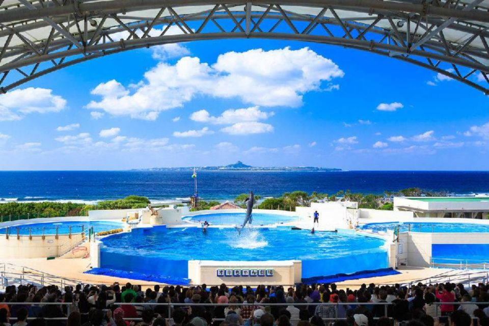 Motobu: Okinawa Churaumi Aquarium Entry Ticket - Meeting Point Information