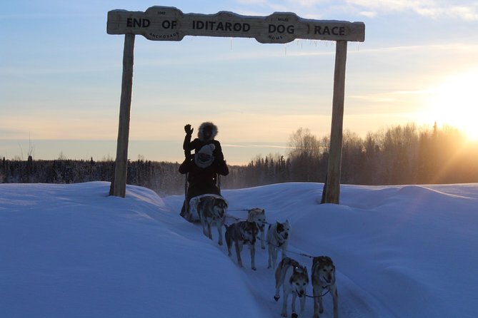 Mush Your Own Sled Dog Team (Winter Tour) in Talkeetna, Alaska - Inclusions
