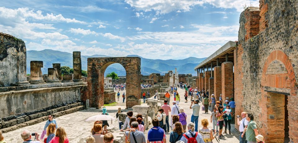 Naples: Vesuvius, Pompeii, and Vineyards Tour - Tour Highlights