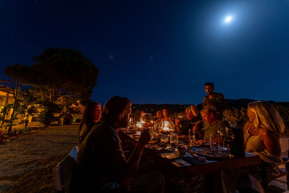 Naxos: Full Moon Dinner and Wine Tasting in a Vineyard - Booking Information