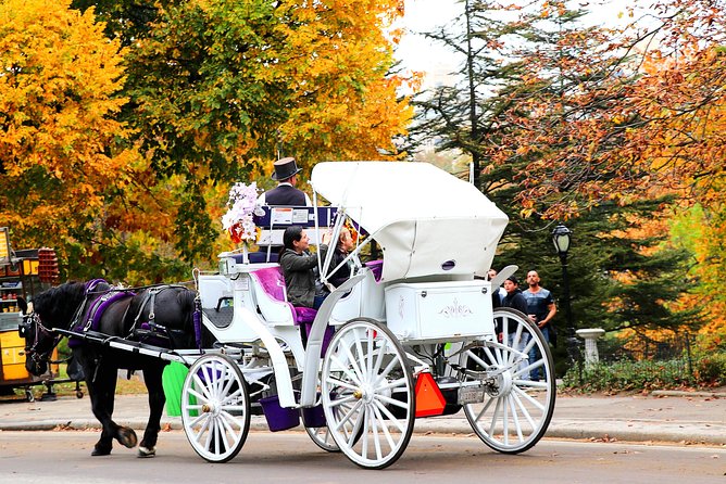 New York City: Central Park Private Horse-and-Carriage Tour - Customer Reviews Overview