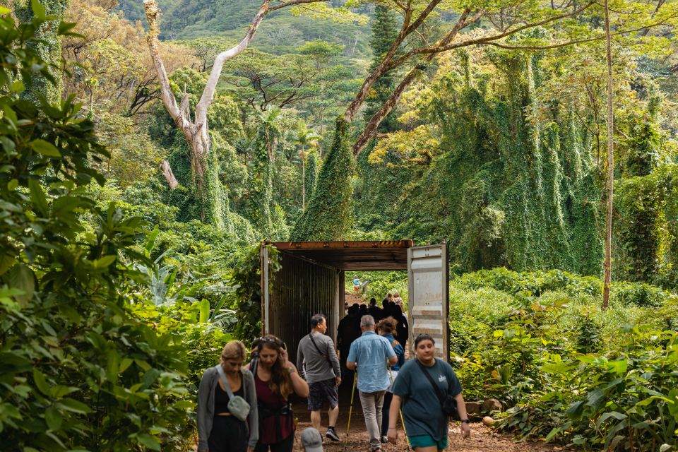 Oahu: Hike to the Manoa Falls Waterfall With Lunch - Includes