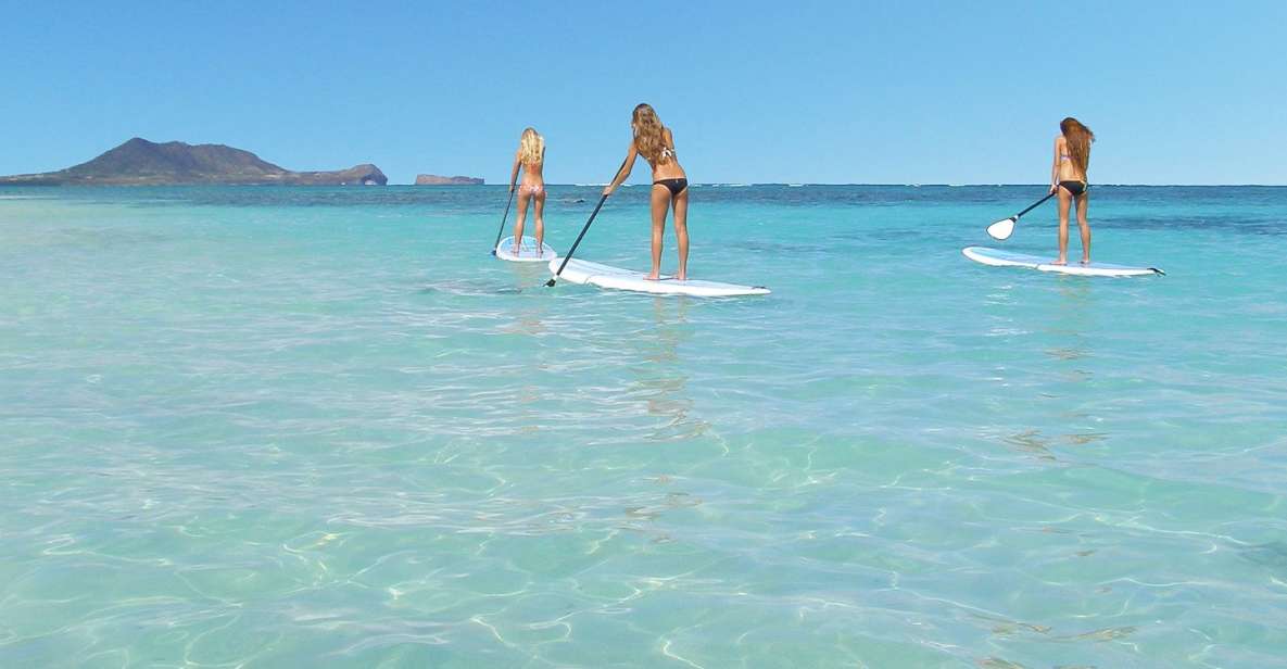 Oahu: Kailua Stand Up Paddle Board Lesson - Experience Highlights