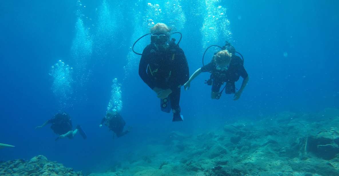Oia: 2 Guided Scuba Dives off Santorini for Certified Divers - Pricing Information