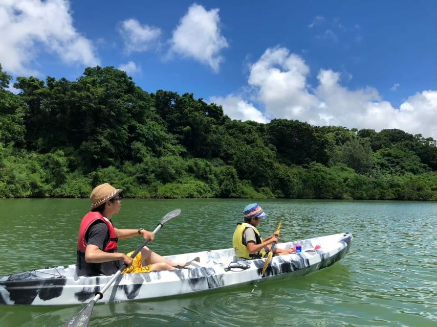 Okinawa: Mangrove Kayaking Tour - Common questions