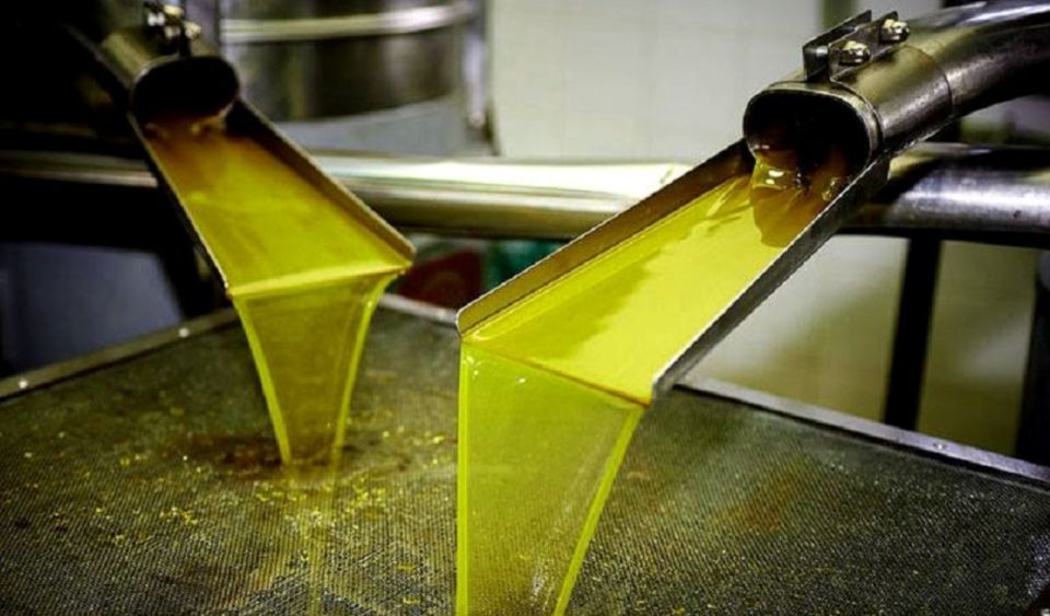 Olive Mill Visit & Olive Oil Tasting 3-Hour Trip Private - Duration and Activities