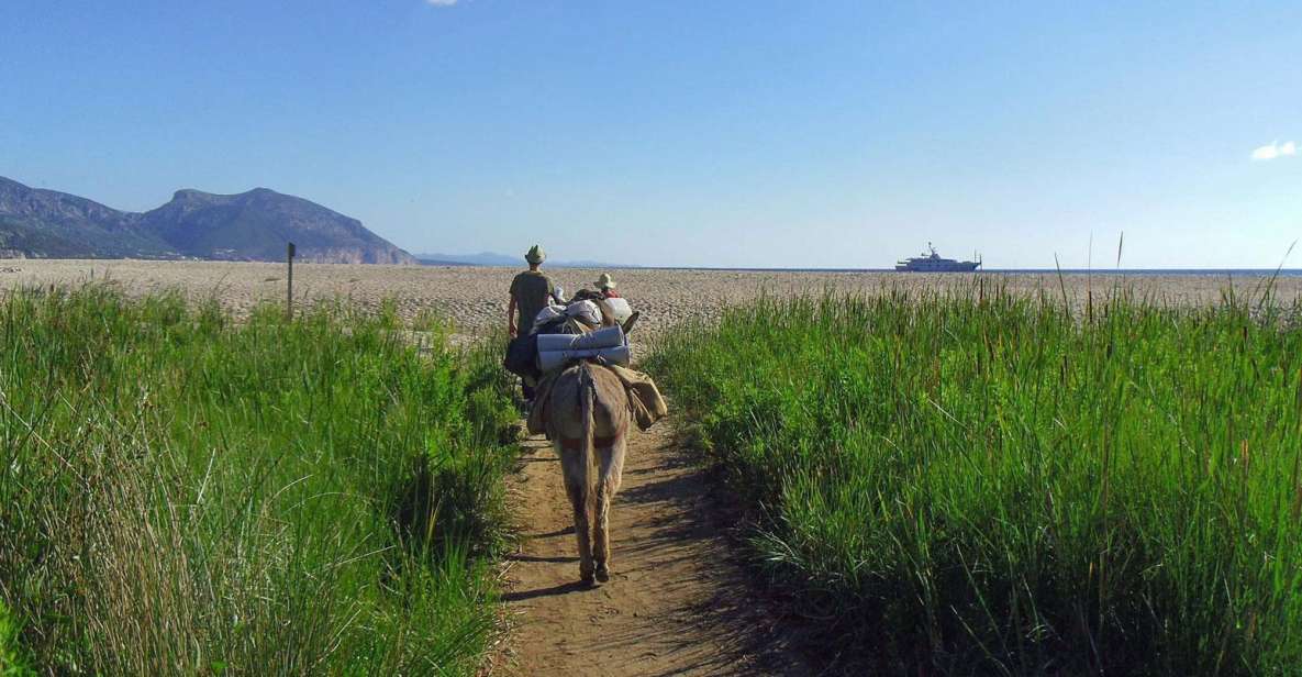 Orosei Gulf: 3 Days Trekking With Donkeys - Itinerary