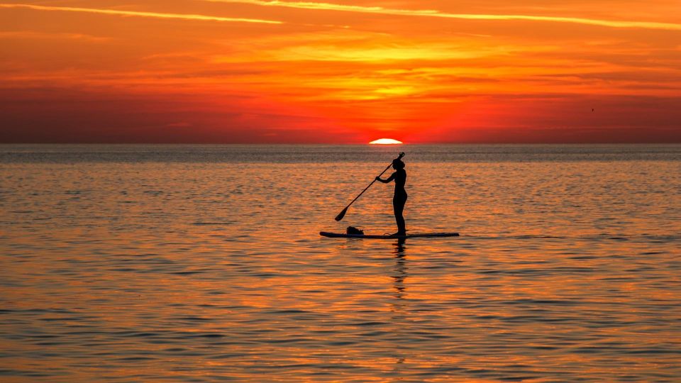 Paddle Board Rental: Glide on the Water With Ease - What to Expect on the Water