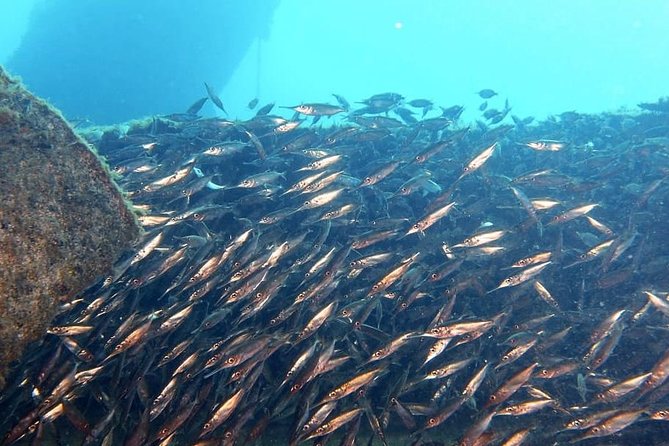 PADI Open Water Course in Gran Canaria - Course Details