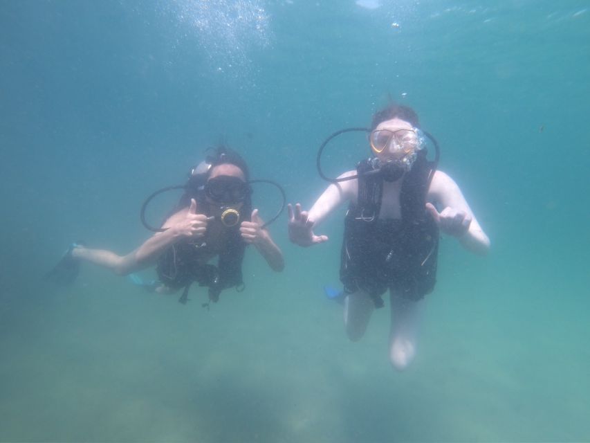 Panama City Beach: Beginners Scuba Diving Tour - Booking and Pricing