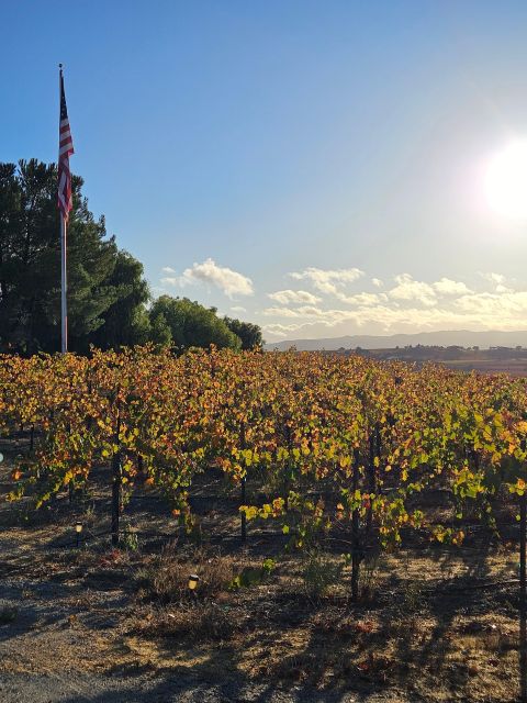 Paso Robles Full-Day Winery Tour With Picnic - Deli-style Picnic Lunch