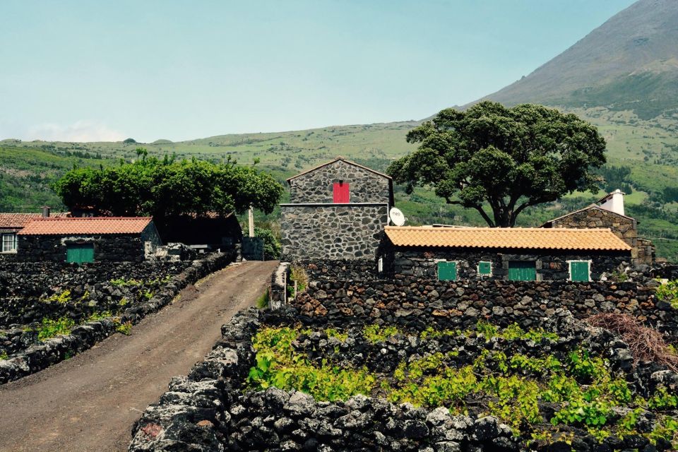 Pico, Azores: Highlights Tour With Wine Tasting and Picnic - Duration and Group Size