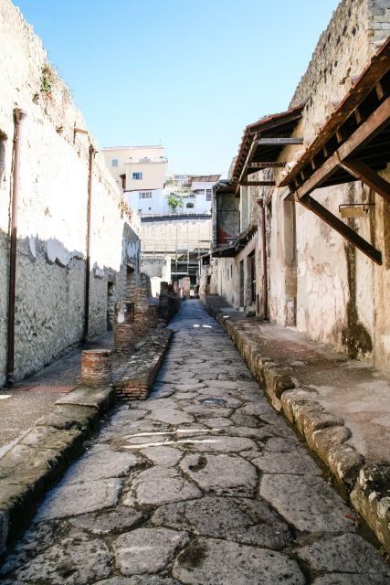 Pompeii, Vesuvius and Herculaneum Tour - Languages and Inclusions