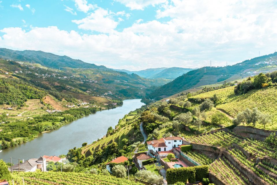 Porto: Douro Valley Tour With Wine Tasting, Cruise and Lunch - Tour Highlights