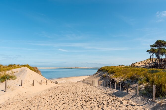 Private Arcachon Full-Day Tour, From Bordeaux - Inclusions and Experiences