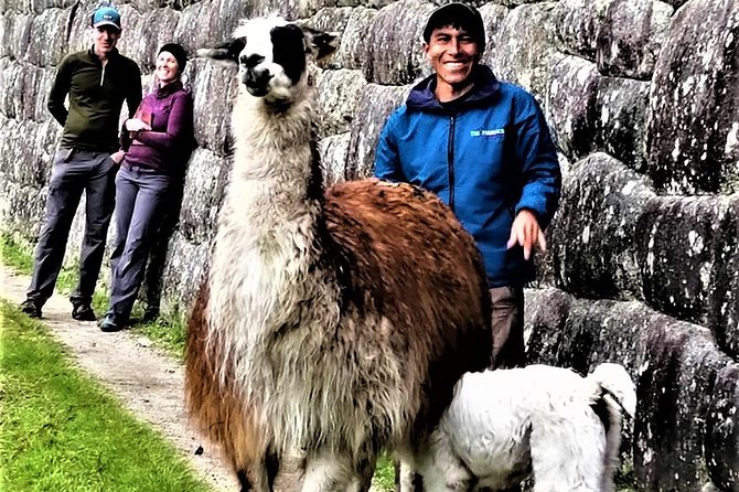 Private Guide for Machu Picchu - 3 Hours - Meeting and Logistics