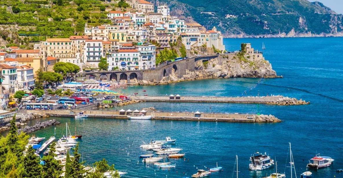 Private Luxury Transfer From Rome to Sorrento - Driver and Vehicle Information