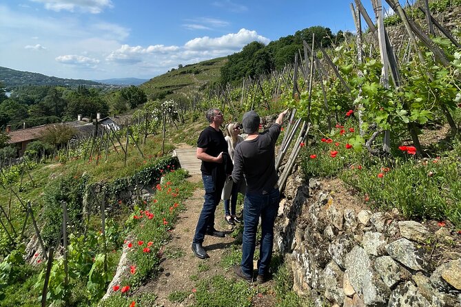 Private Rhône-Valley Wine Tour With a French Sommelier - Exclusive Vineyard Visits