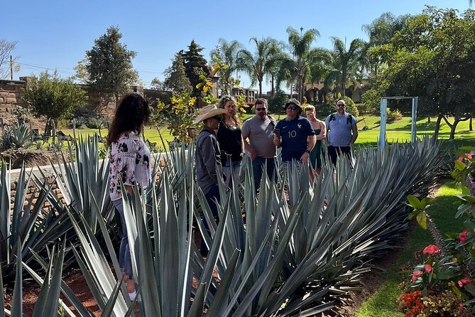 Private Tequila Route Day Trip From Guadalajara - Captivating Traveler Photos