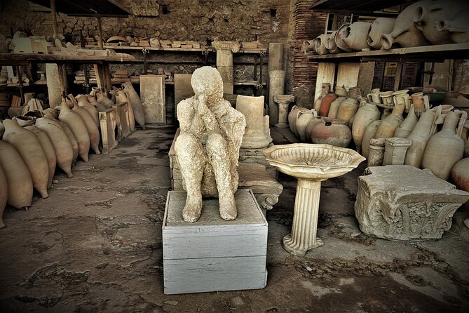 Private Tour of Pompeii - Logistics and Requirements