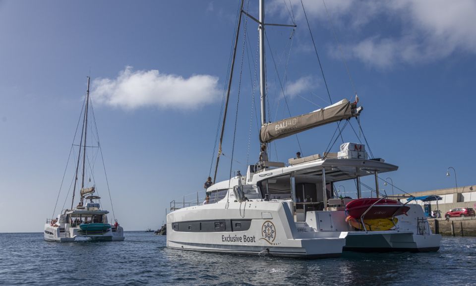Puerto Rico De Gran Canaria: Private Catamaran Charter - Language Options and Activities