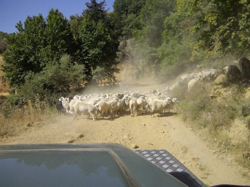 Rethymno Land Rover Safari in Southwest Crete - Common questions
