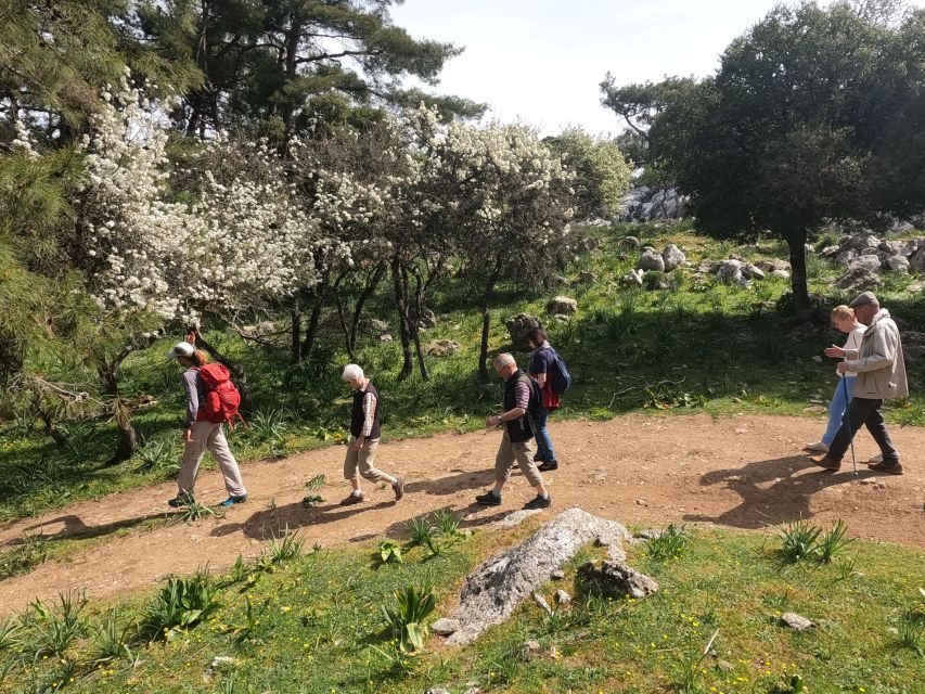 Rhodes: Hike Mountain Profitis Ilias From Salakos Village - Group Size and Languages