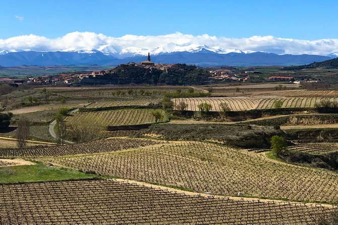 Rioja Wineries and Laguardia Tour With Picnic From San Sebastian - Additional Information
