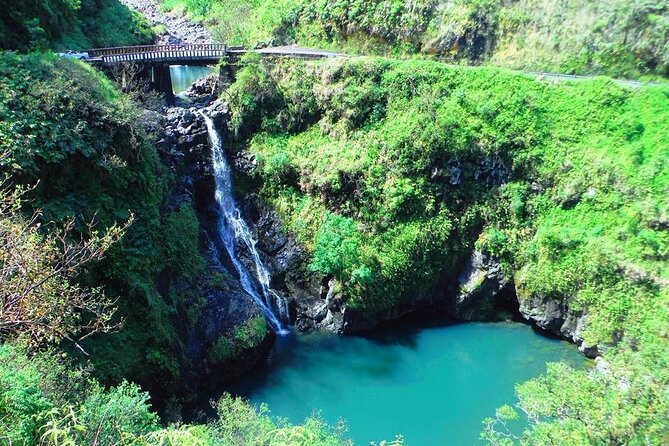 Road to Hana Private Jungle Tour - Logistics and Pickup Information