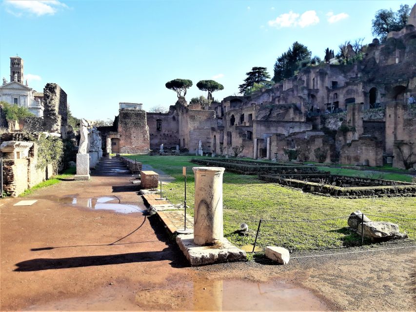 Rome: Vatican, & Colosseum Tours W/Lunch Tkts and Transfers - Highlights