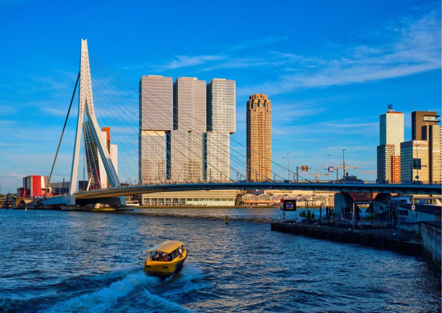 Rotterdam Highlights With Local: Walking Tour & Boat Cruise - Experience Highlights
