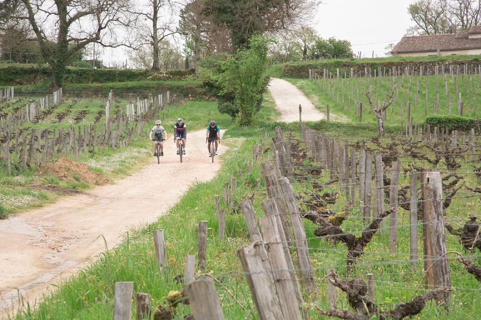 Saint-Émilion by Gravel Bike : Wine Tasting & Picnic - Activity Inclusions