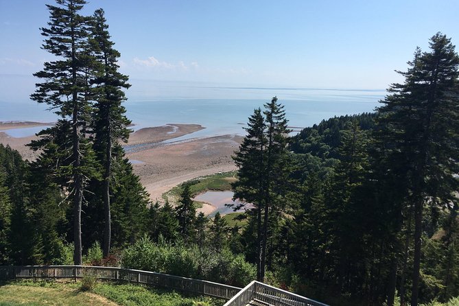 Saint John Cruise Ship Shore Tour to Bay of Fundy - Itinerary Details
