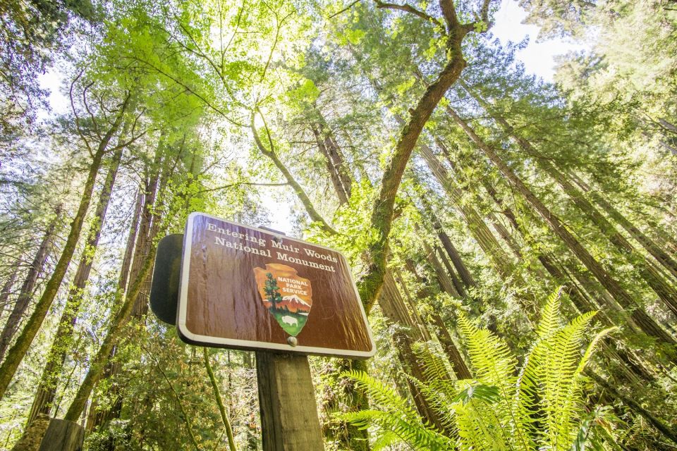 San Francisco: Muir Woods and Sausalito Experience - Tour Description
