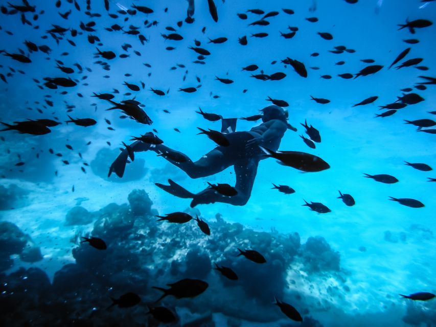 Santorini: Scuba Diving Experience for Beginners - Dive Depth and Instructor Expertise
