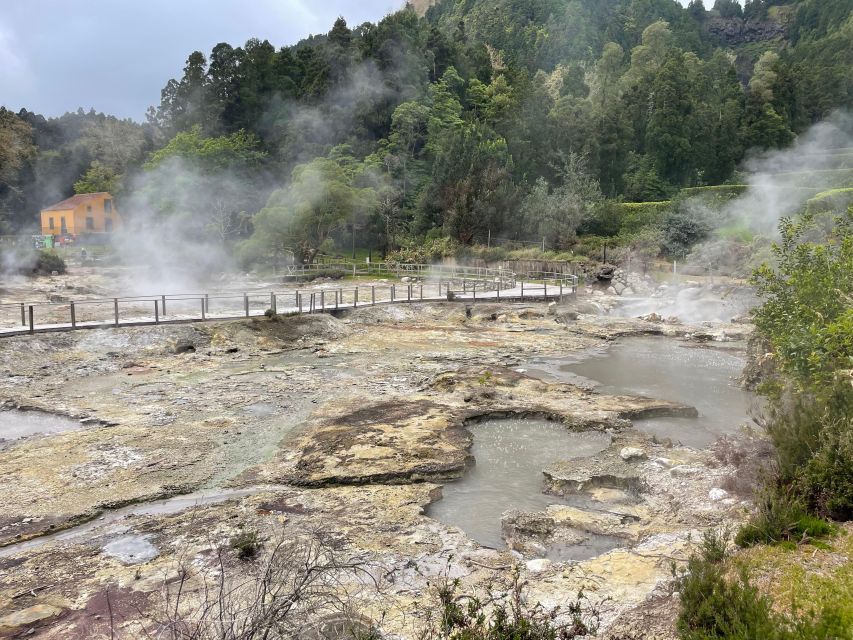 Sao Miguel: Privat Van Tour Furnas, Gorreana Tea Factory - Itinerary