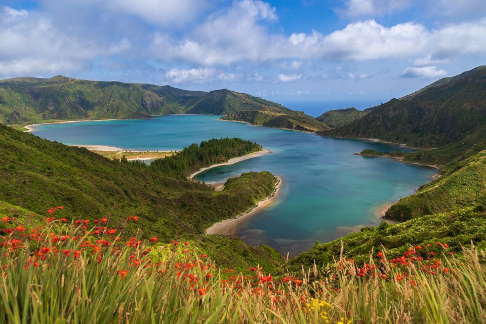 São Miguel: Whales & Volcano Full-Day Tour With Lunch - Inclusions