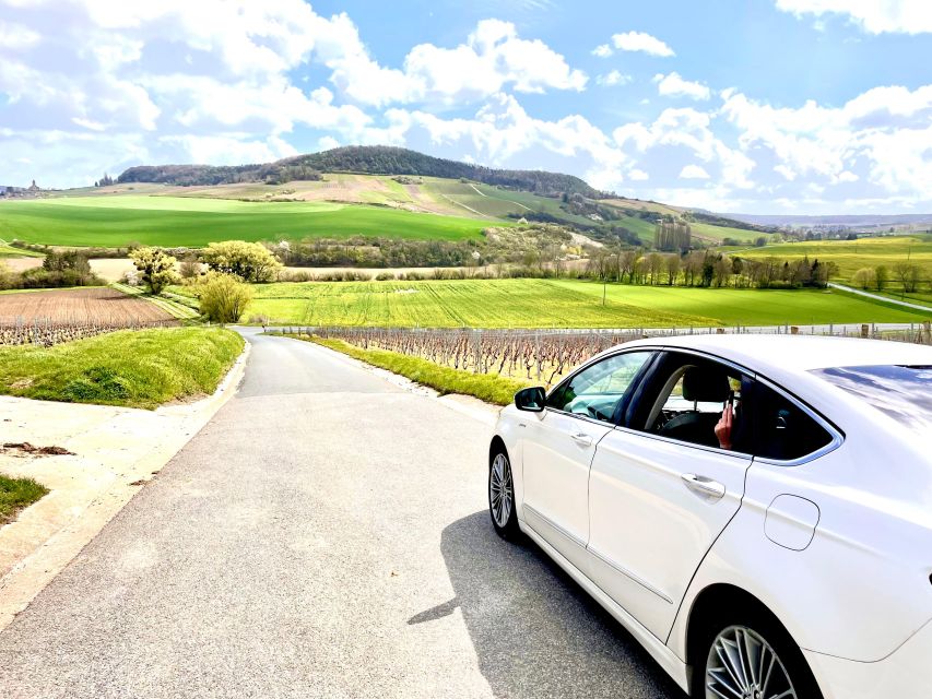 Sauternes : Sweet Wine From Bordeaux - Characteristics of Sauternes Sweet Wine