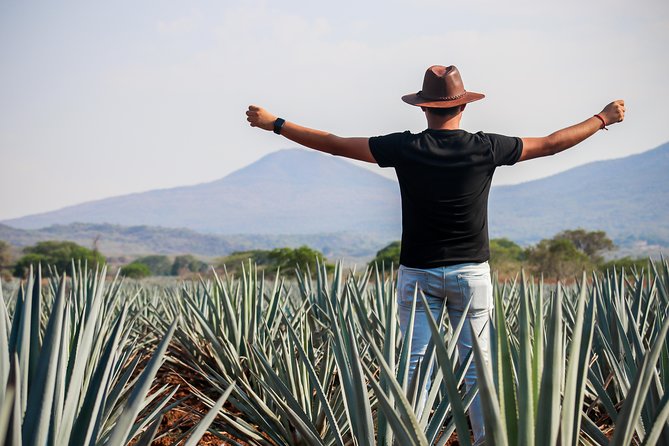 Small Group Tequila City Tour and Tasting From Guadalajara - Traveler Reviews and Ratings