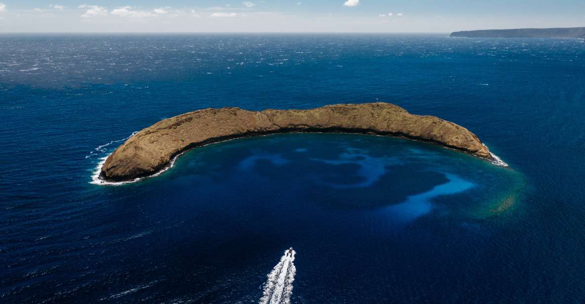 South Maui: Molokini Volcanic Crater Snorkeling Cruise - Includes