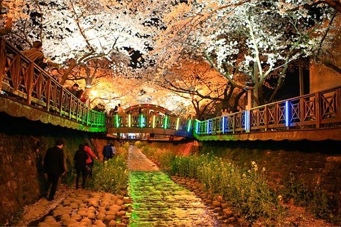 Spring 5 Days Cherry Blossom Jeju&Busan&Jinhae&Gyeongju on 31 Mar to 10 Apr - Cherry Blossom Destinations