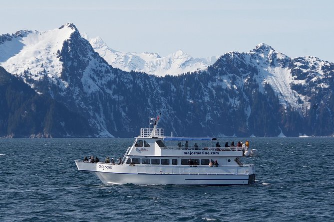 Spring Wildlife Cruise - Whale Watching Experience