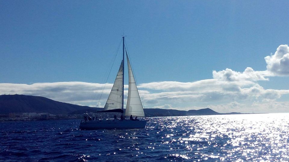 Tenerife: Private or Group 3 Hour Sailing Cruise With Drinks - Experience Highlights